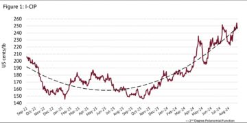 Robustas 47-year high two consecutive months: ICO report