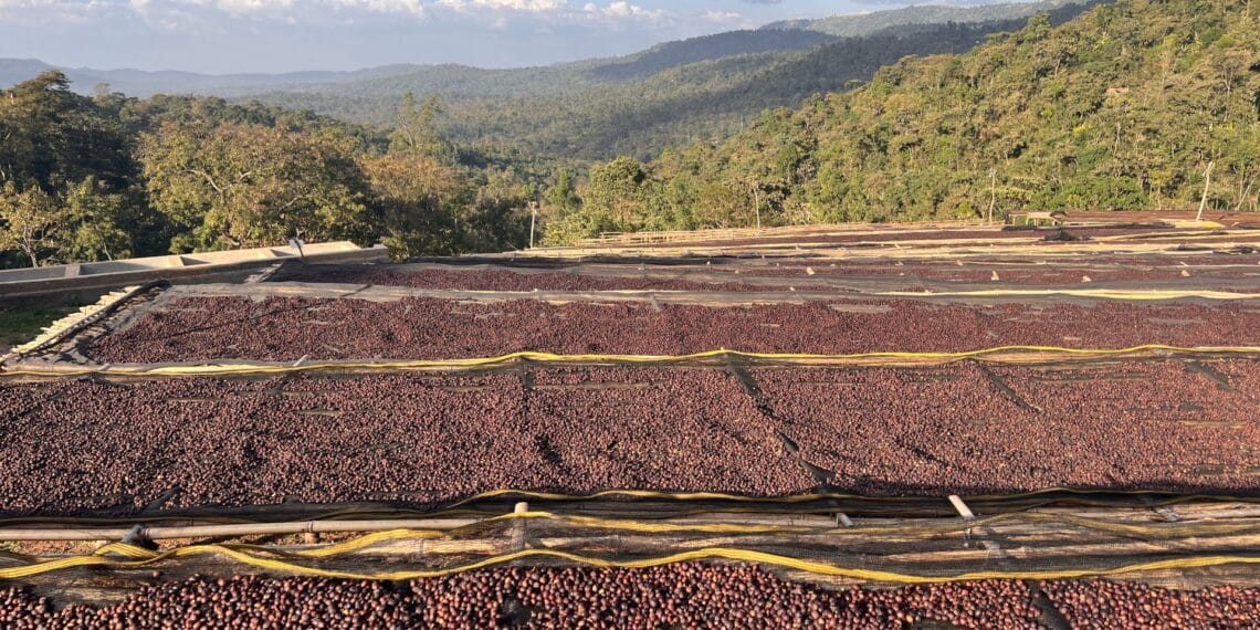 Image: Eric Isselée/https://stock.adobe.com/