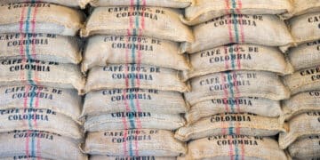 Image: zakokor/stock.adobe.com