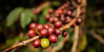 Image: stockphoto mania/stock.adobe.com