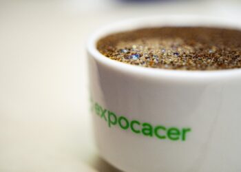 Image: Expocacer