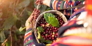 Image: sirisakboakaew/stock.adobe.com