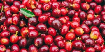 Image: jakkapan/stock.adobe.com