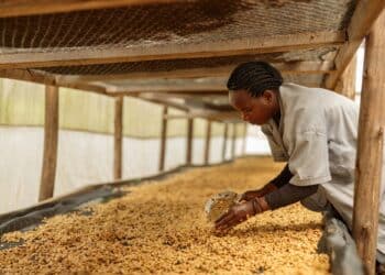 Image: Yaroslav Astakhov/stock.adobe.com