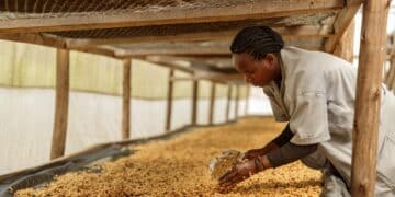 Image: Yaroslav Astakhov/stock.adobe.com