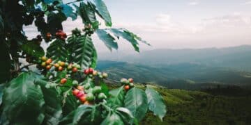 Image:  jakkapan/stock.adobe.com