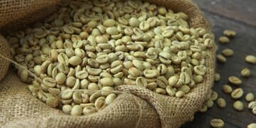 Image: airdone/stock.adobe.com