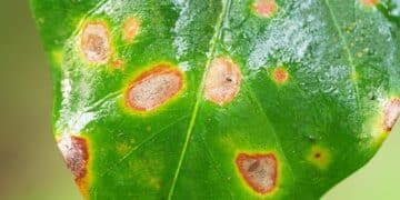 Image: Spice Footage/stock.adobe.com