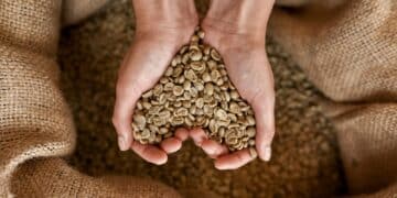 Image: Svitlana/stock.adobe.com