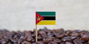 An East African country is on track to produce nearly 100 tonnes of coffee in 2025, according to its government.
