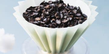 Koppie ferments and roasts pulses to create an integrative coffee alternative. Image: Koppie.