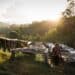 The Rainforest Alliance has announced a new Standard designed to help coffee farmers invest in sustainable solutions. 
