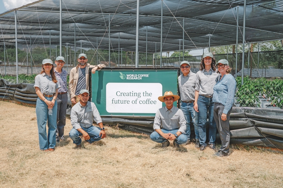 As extreme weather threatens global coffee supplies, the industry is uniting to fund the next generation of climate-proof coffee varieties.