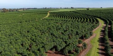 Image: JR Slompo/stock.adobe.com