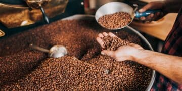 Image: hedgehog94/stock.adobe.com