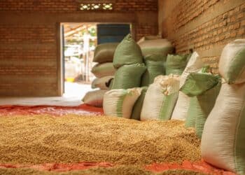 Image: Yaroslav Astakhov/stock.adobe.com