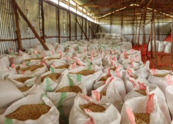 Australian café chain The Coffee Club has opened its first site in Nairobi with the support of Dormans Coffee Roasters