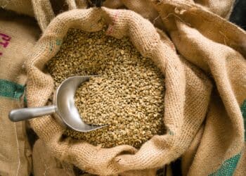 Image: Christopher Boswell/stock.adobe.com