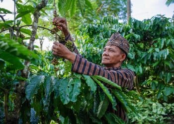 Image: Anom Harya/stock.adobe.com