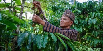 Image: Anom Harya/stock.adobe.com