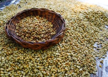 Image: Alongkorn/stock.adobe.com