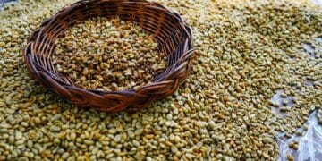 Image: Alongkorn/stock.adobe.com