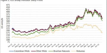 The ICO reports prices continue to fall across all coffee types.