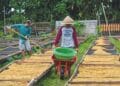 Indonesia is one of the four largest coffee producers in the world, but could the rise of specialty coffee prime it for steeper growth?