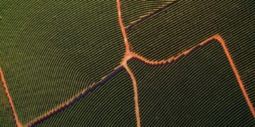 Image: paulovilela/stock.adobe.com