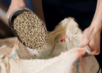 Image: Parilov/stock.adobe.com