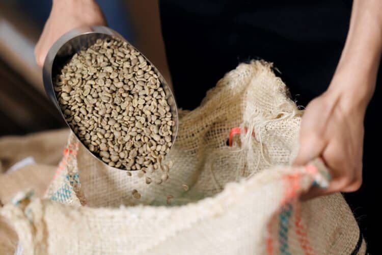 Image: Parilov/stock.adobe.com