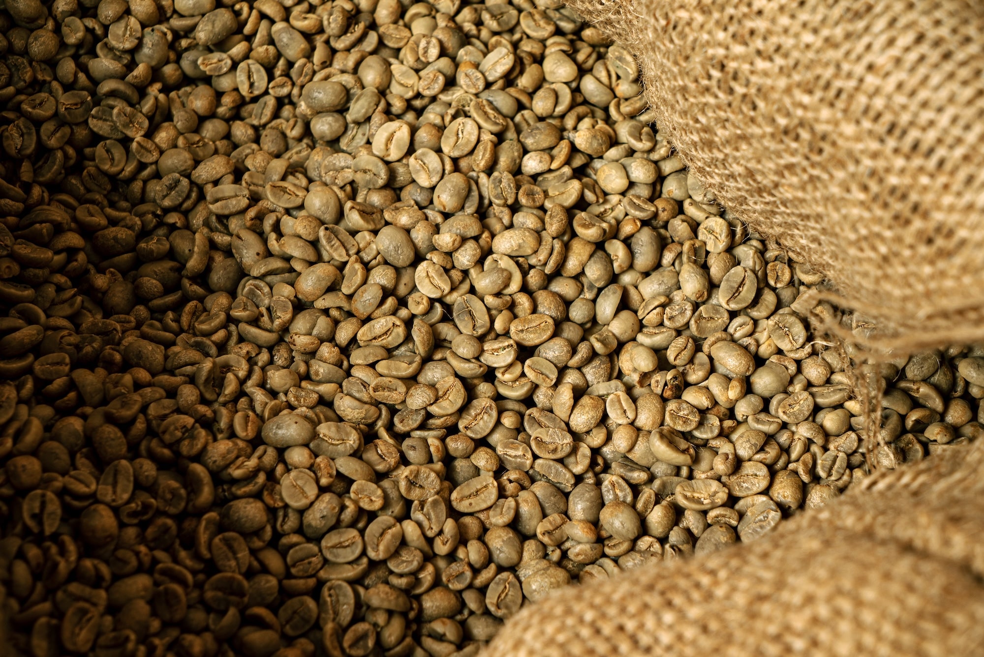 High supply, trade pressures drop coffee prices: ICO July report