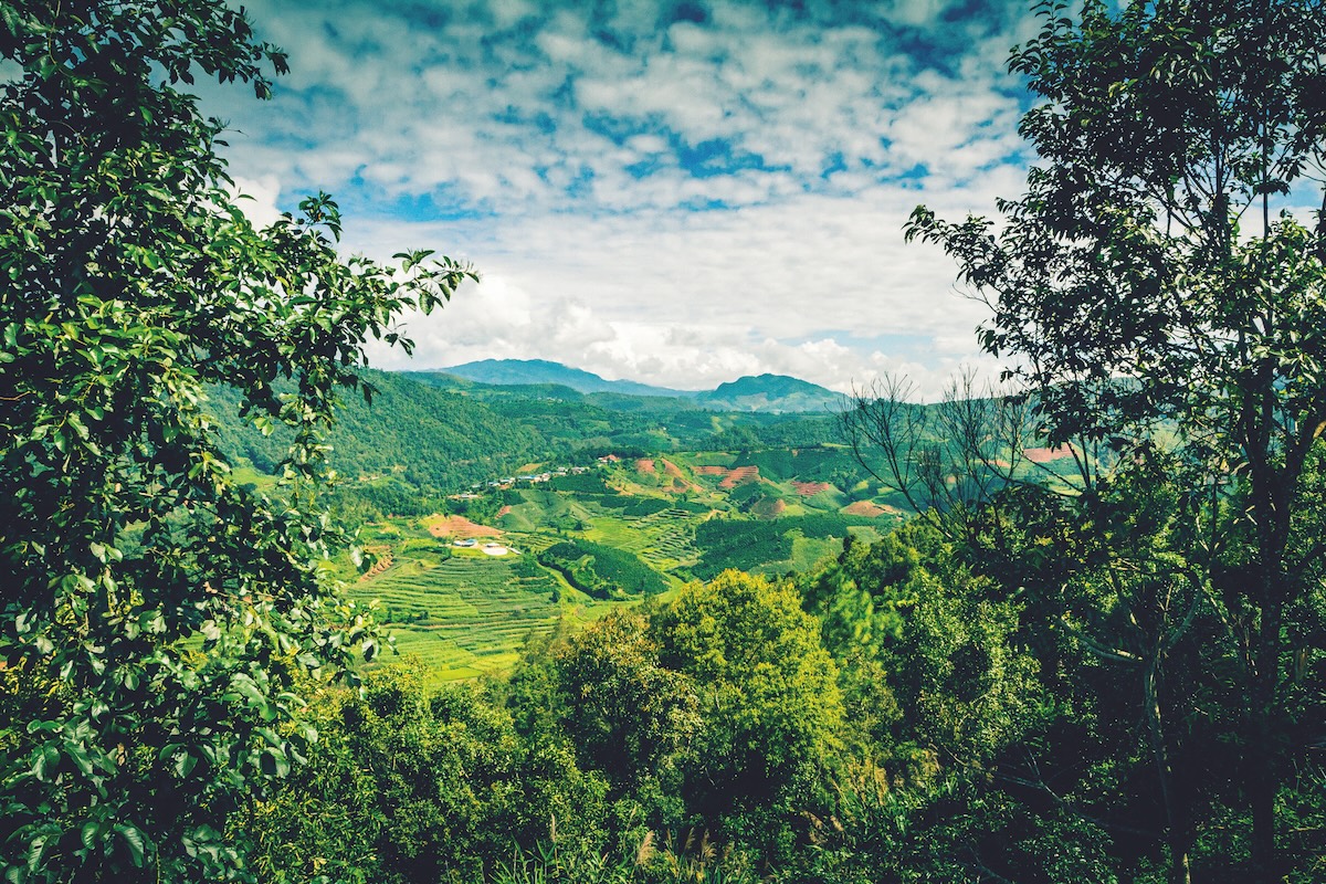 How surging consumer demand and production capabilities have accelerated China’s coffee market – with growth showing no signs of slowing.