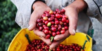 Image: Pixeltheater/stock.adobe.com