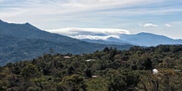 Longboard Specialty Coffee