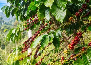 Image: Bluesky60/stock.adobe.com