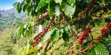 Image: Bluesky60/stock.adobe.com