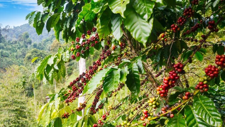 Image: Bluesky60/stock.adobe.com