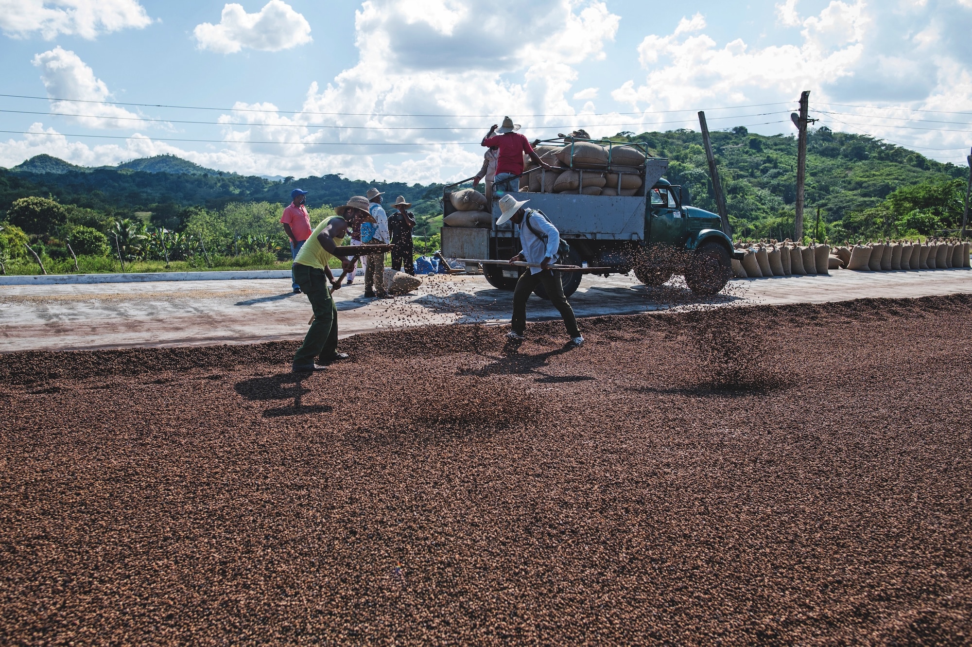 Through its projects in Cuba, the Lavazza Foundation works with more than 2500 local farmers.
