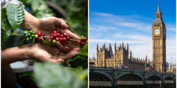 Images:  noizstocker/stock.adobe.com & alice_photo.stock.adobe.com.