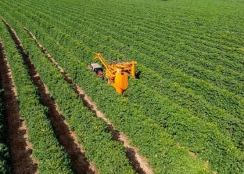 Image: JR Slompo
/stock.adobe.com