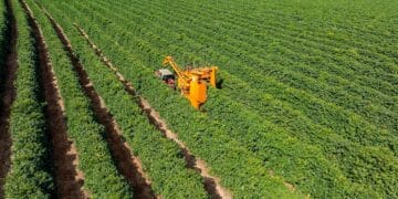 Image: JR Slompo
/stock.adobe.com