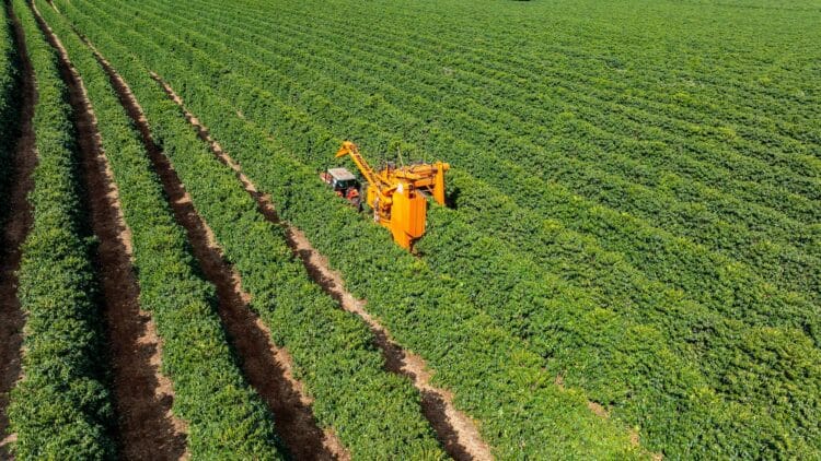 Image: JR Slompo
/stock.adobe.com