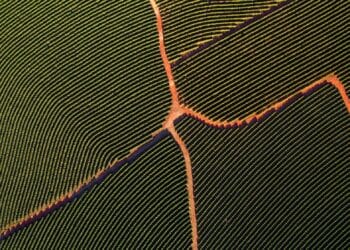 Image: paulovilela/stock.adobe.com