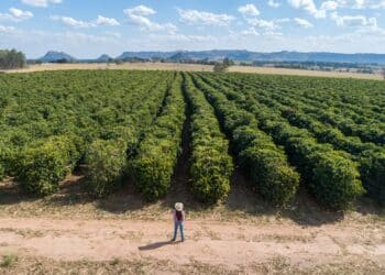 Image: Nexa/stock.adobe.com