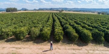 Image: Nexa/stock.adobe.com