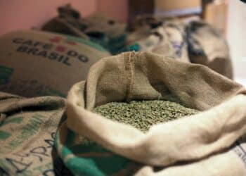 Image: yo camon/stock.adobe.com