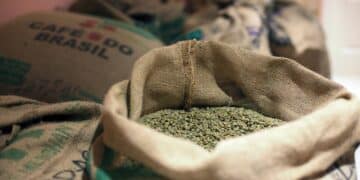 Image: yo camon/stock.adobe.com