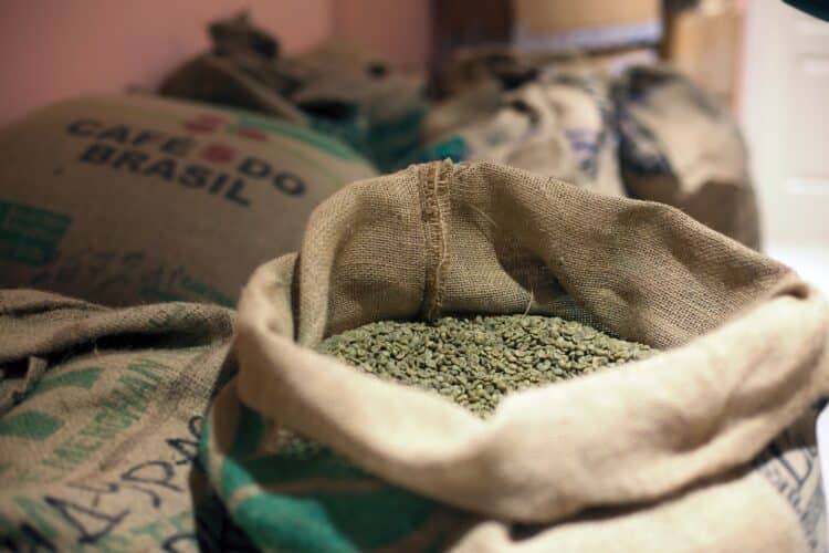 Image: yo camon/stock.adobe.com