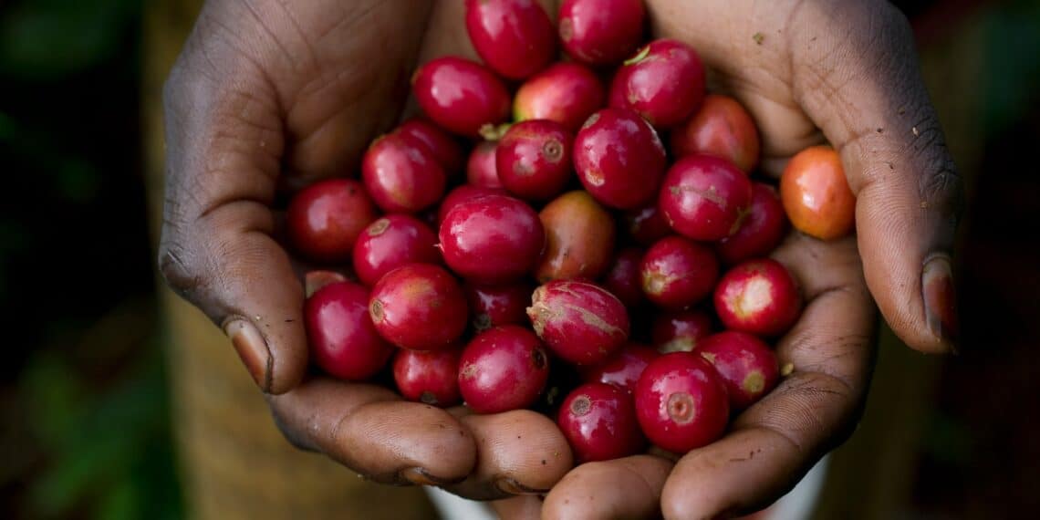 Image: Paul/stock.adobe.com